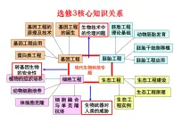 人教版（新课程标准）高二下学期生物选修三 1.1DNA重组技术的基本工具 课件