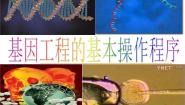 人教版 (新课标)选修3《现代生物科技专题》专题1 基因工程1.2 基因工程的基本操作程序优质课件ppt