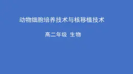 人教版（新课程标准）高二下学期生物选修三 专题2 细胞工程_2.2 动物细胞工程动物细胞培养和核移植技术 课件