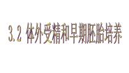 高中生物人教版 (新课标)选修3《现代生物科技专题》3.2 体外受精和早期胚胎培育优秀课件ppt