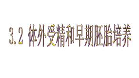 高中生物人教版 (新课标)选修3《现代生物科技专题》3.2 体外受精和早期胚胎培育优秀课件ppt