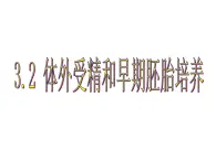 人教版（新课程标准）高二下学期生物选修三 专题3体外受精和早期胚胎培养 课件