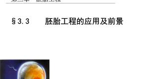 高中生物人教版 (新课标)选修3《现代生物科技专题》3.3 胚胎工程的应用及前景精品课件ppt