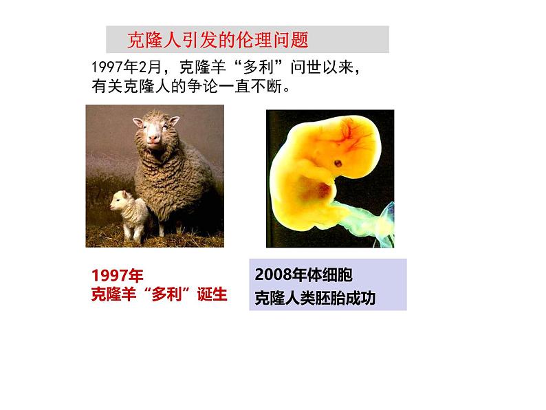 关注生物技术伦理问题课件(20张PPT)第2页