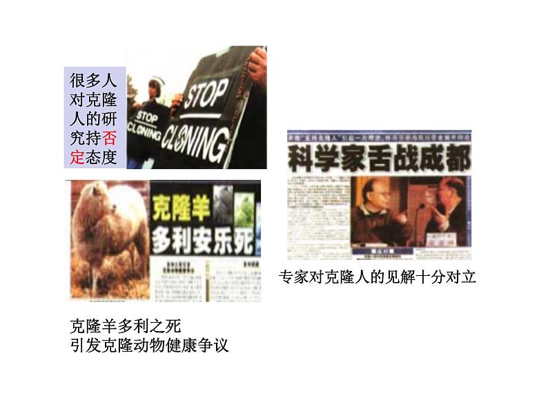 关注生物技术伦理问题课件(20张PPT)第4页