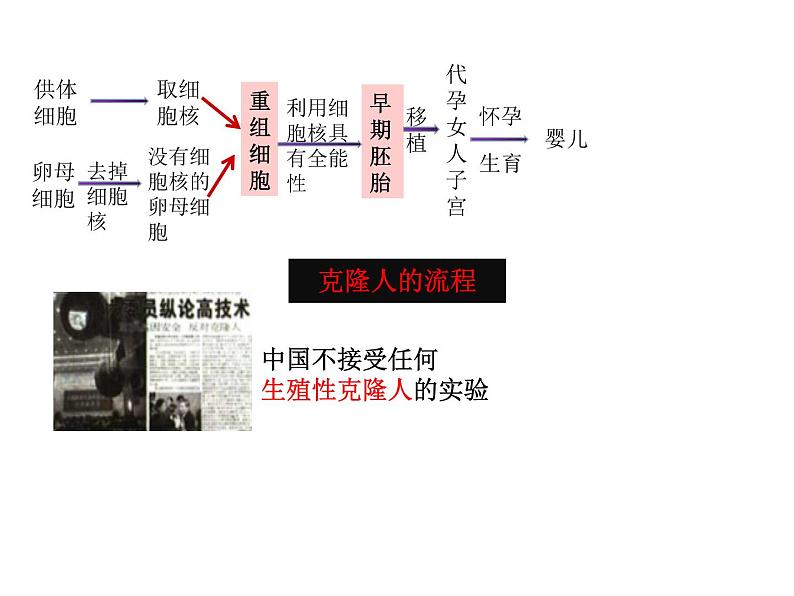 关注生物技术伦理问题课件(20张PPT)第5页