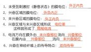 人教版 (新课标)必修3《稳态与环境》第1节 通过神经系统的调节优秀课件ppt