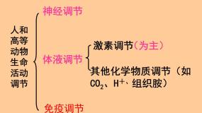 必修3《稳态与环境》第3节 神经调节与体液调节的关系优秀ppt课件