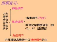 人教版生物高二上学期必修三 2.3神经调节与体液调节的关系 课件