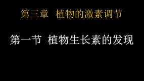 人教版 (新课标)必修3《稳态与环境》第1节 植物生长素的发现精品ppt课件