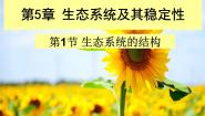 高中生物人教版 (新课标)必修3《稳态与环境》第1节 生态系统的结构精品课件ppt