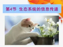 高中生物人教版 (新课标)必修3《稳态与环境》第5章 生态系统及其稳定性第4节 生态系统的信息传递精品课件ppt