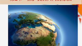 高中生物人教版 (新课标)必修3《稳态与环境》第2节 保护我们共同的家园试讲课ppt课件