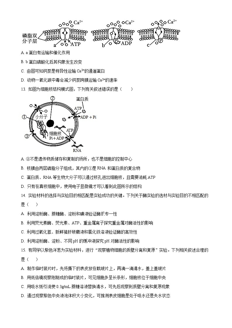 陕西省汉中市西乡县西乡县第一中学2024-2025学年高三上学期开学生物试题(原卷版)第3页