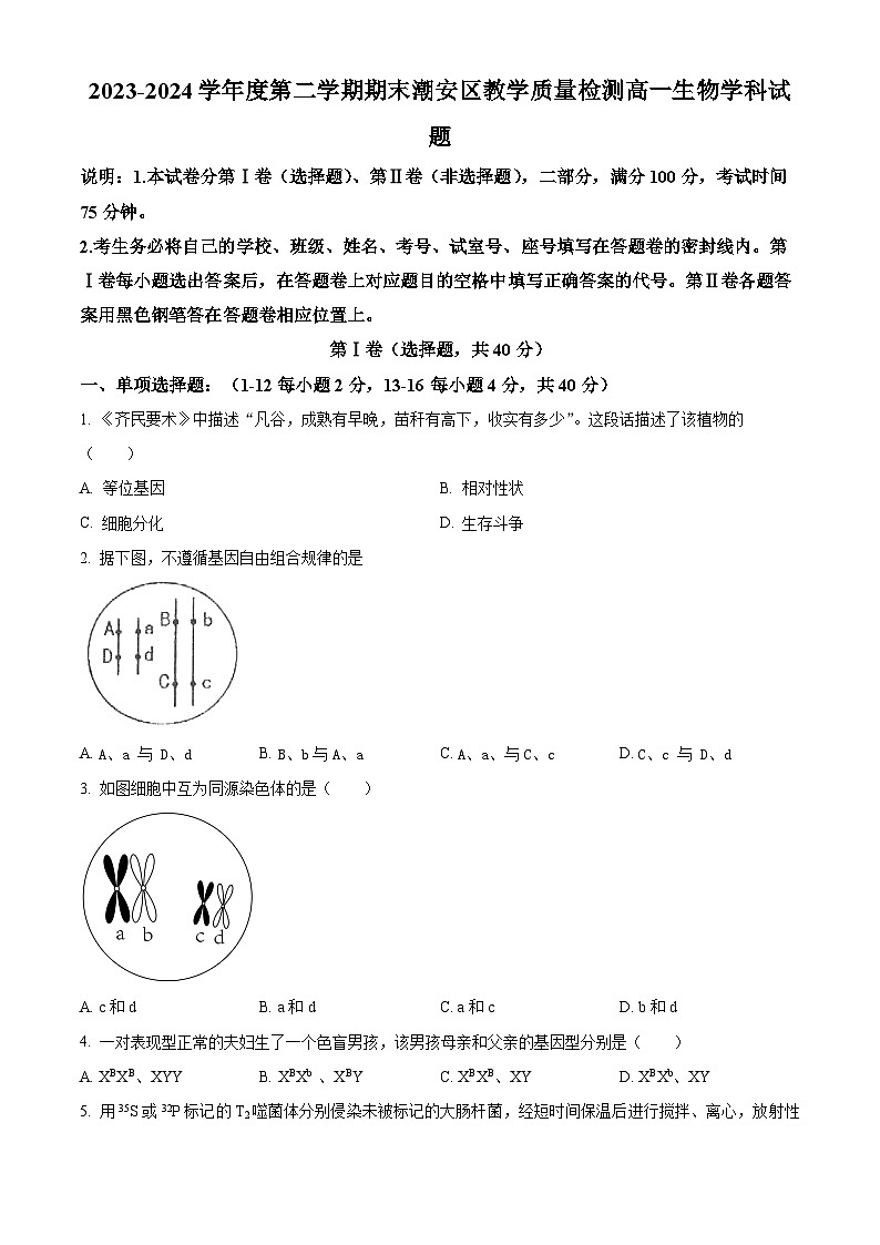 广东省潮州市潮安区2023-2024学年高一下学期期末考试生物试题(原卷版)01