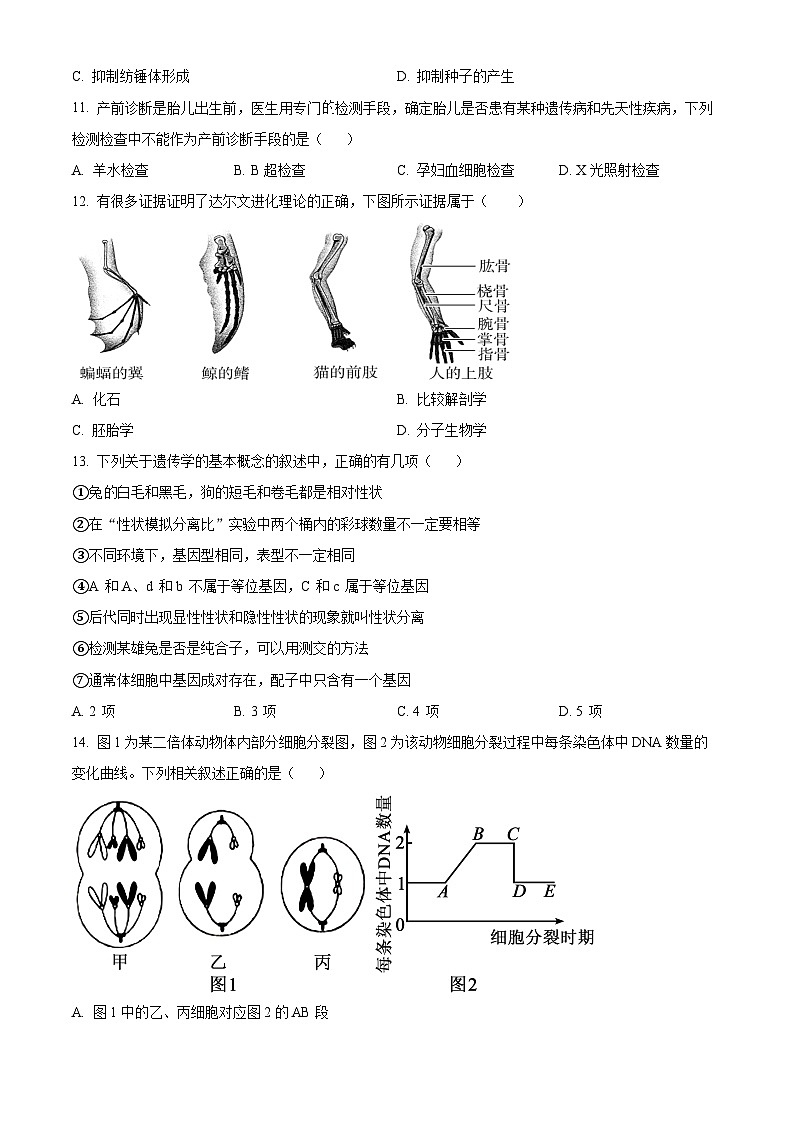广东省潮州市潮安区2023-2024学年高一下学期期末考试生物试题(原卷版)03