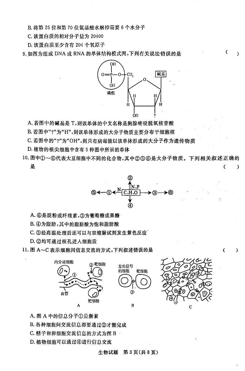 2023-2024学年河南省青桐鸣高一上学期期中考试生物试卷及答案第3页