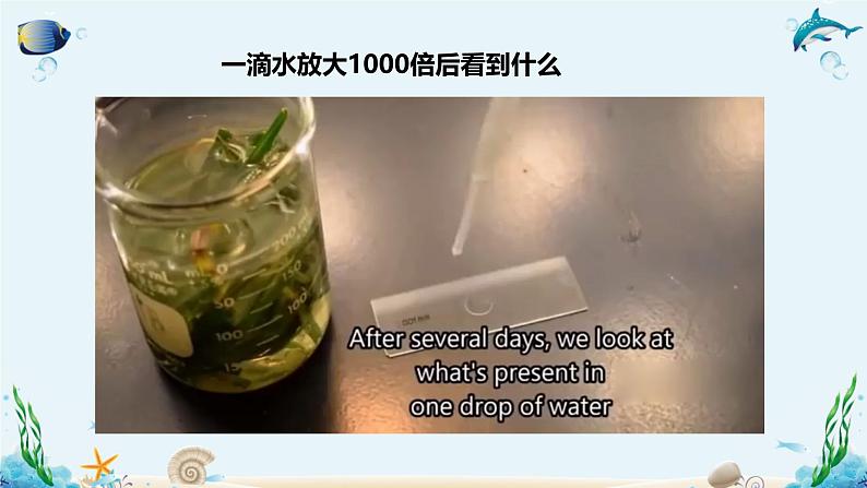 第一节 人类认识细胞的历程 课件第3页