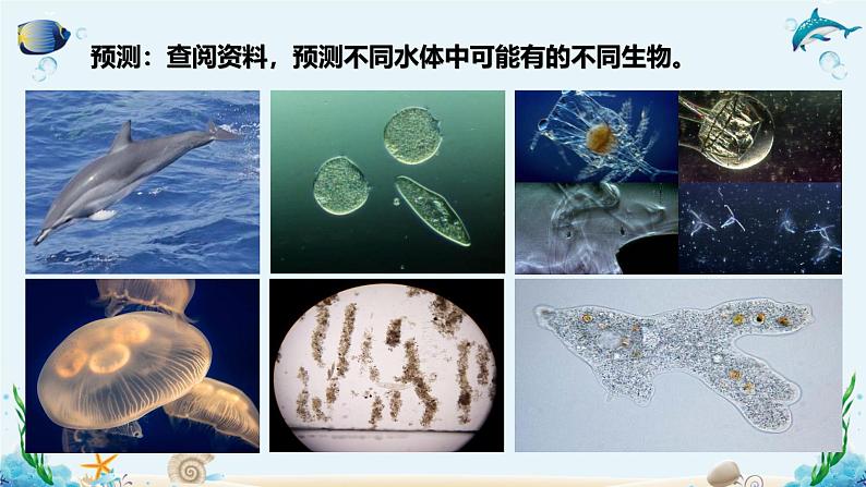 第一节 人类认识细胞的历程 课件第5页