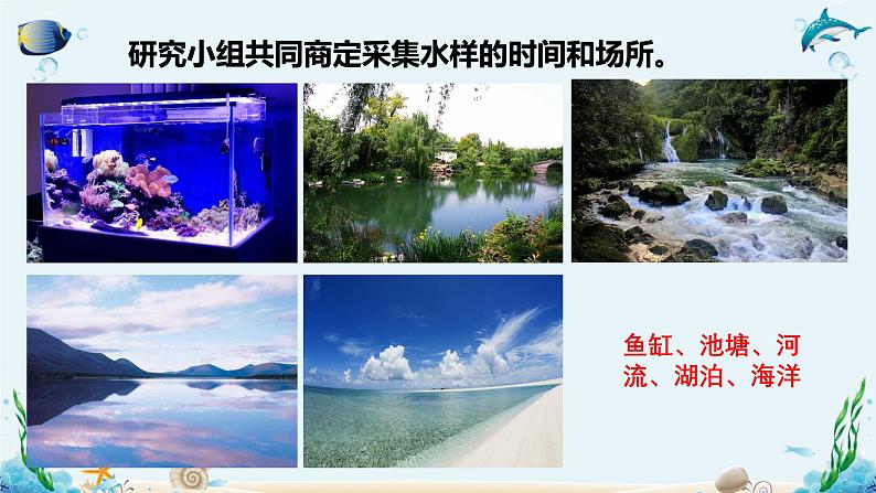 第一节 人类认识细胞的历程 课件第6页