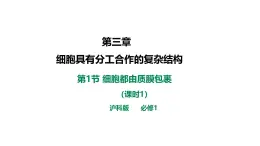 沪科版（2019）高中生物必修一 3.1 细胞都由质膜包裹（课时1）课件 +教案