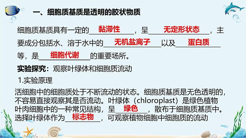 第二节 细胞内具有许多相对独立的结构 课件第5页