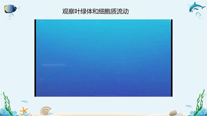 第二节 细胞内具有许多相对独立的结构 课件第6页