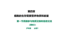 沪科版（2019）高中生物必修一 4.1质膜参与物质交换和信息交流（课时2）课件 +教案