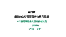 沪科版（2019）高中生物必修一 4.2酶是细胞生化反应的催化剂（课时1）课件 +教案