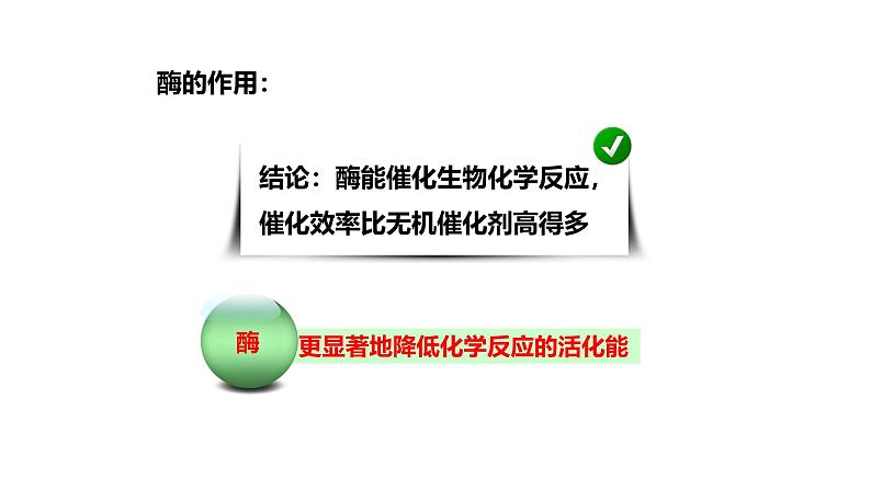 沪科版(2019)高中生物必修一 4.2酶是细胞生化反应的催化剂(课时2)课件 +教案05