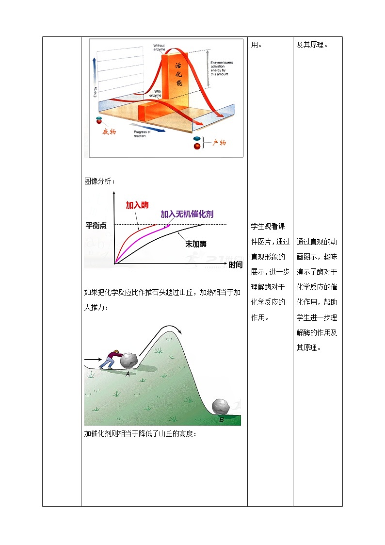 沪科版(2019)高中生物必修一 4.2酶是细胞生化反应的催化剂(课时2)课件 +教案03
