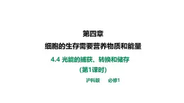 沪科版（2019）高中生物必修一 4.4光能的捕获、转换和储存（课时1） 课件 +教案