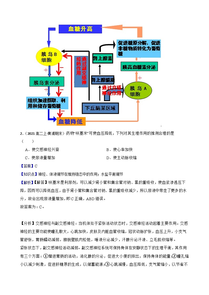 高中生物学北师大版2019选择性必修一同步练习4.6 神经—内分泌—免疫调节网络02