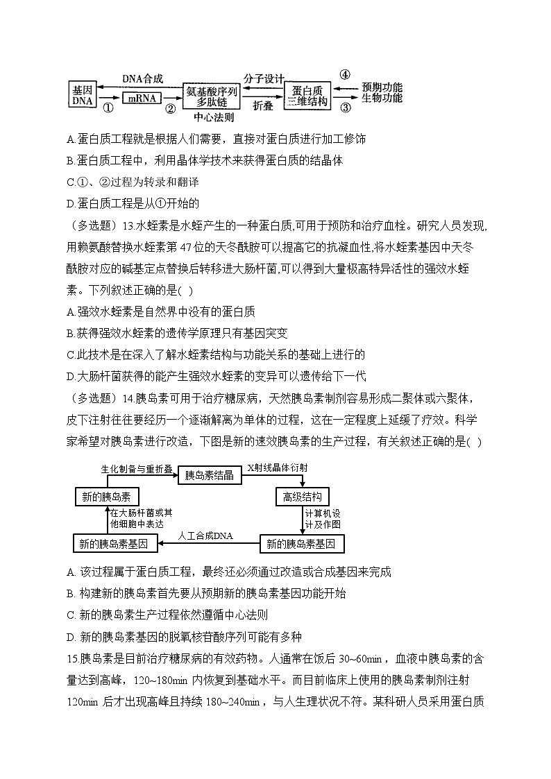 3.5蛋白质工程——2022-2023学年高二生物学北师大版(2019)选择性必修三同步课时训练(有解析)03