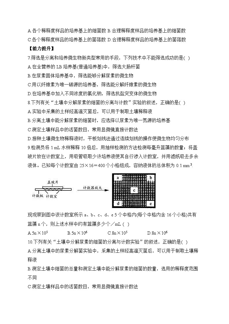 1.2微生物纯培养物的选择——2022-2023学年高二生物学北师大版(2019)选择性必修三同步课时训练(有解析)02