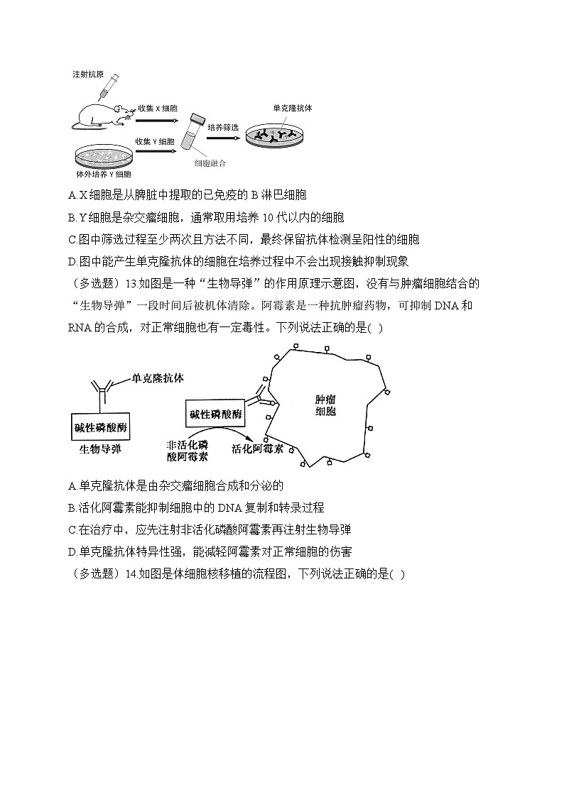 2.2动物细胞工程——2022-2023学年高二生物学北师大版(2019)选择性必修三同步课时训练(有解析)第3页
