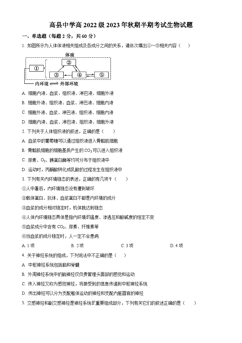 四川省宜宾市高县中学2023-2024学年高二上半期考试生物试题(Word版附解析)01
