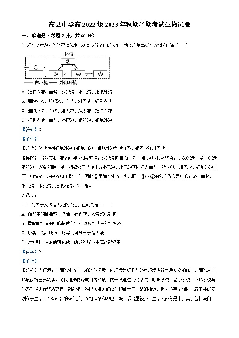 四川省宜宾市高县中学2023-2024学年高二上半期考试生物试题(Word版附解析)01