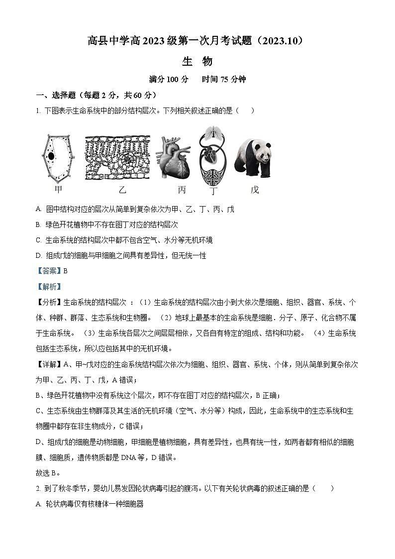 四川省宜宾市高县中学2023-2024学年高一上学期10月考试生物试题(Word版附解析)01