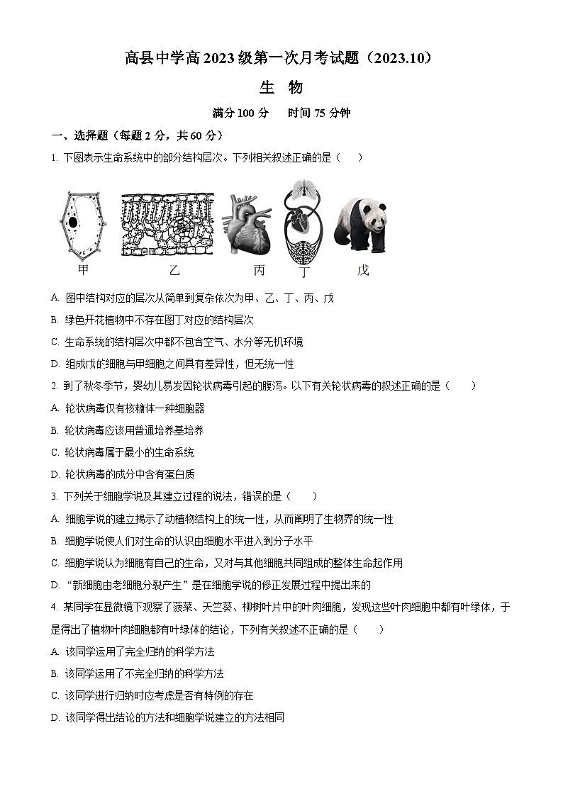 四川省宜宾市高县中学2023-2024学年高一上学期10月考试生物试题(Word版附解析)01