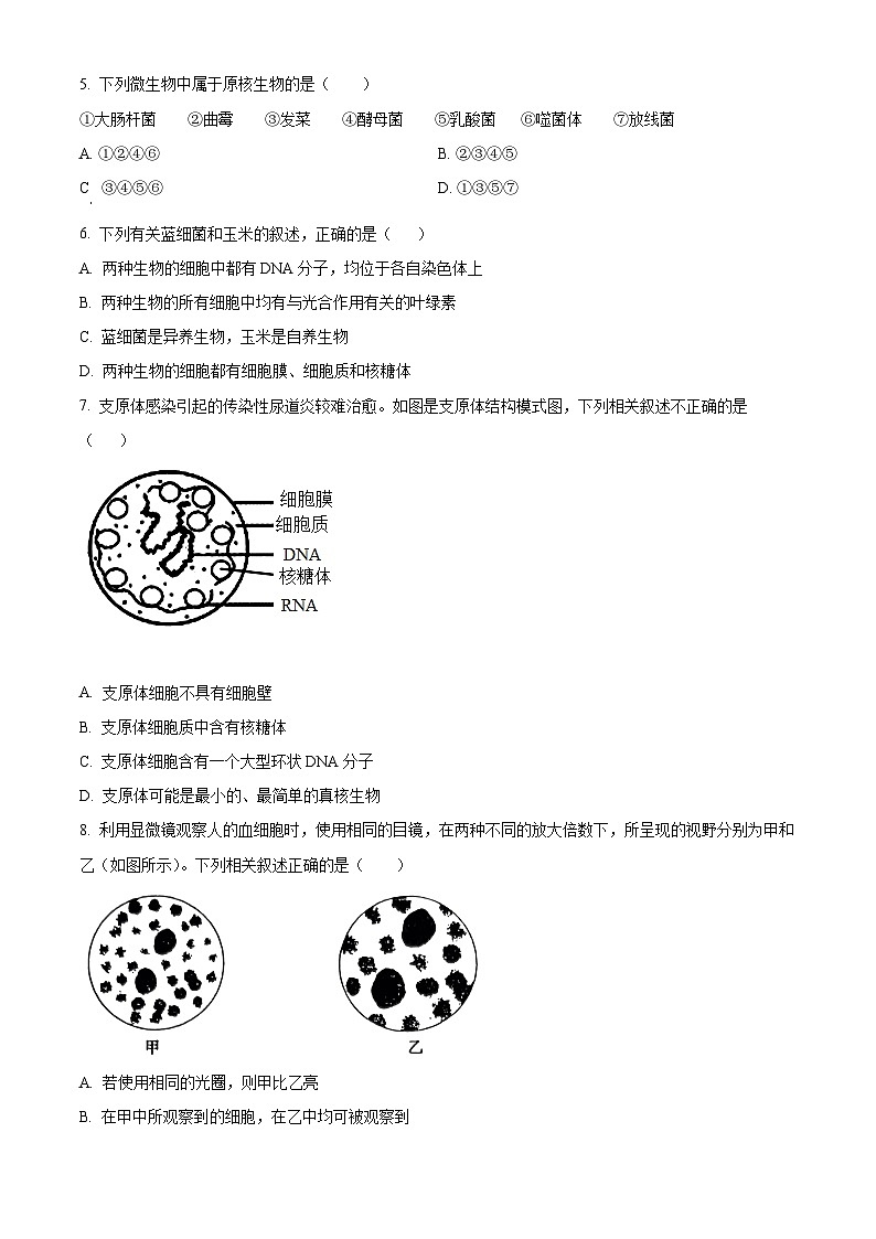 四川省宜宾市高县中学2023-2024学年高一上学期10月考试生物试题(Word版附解析)02