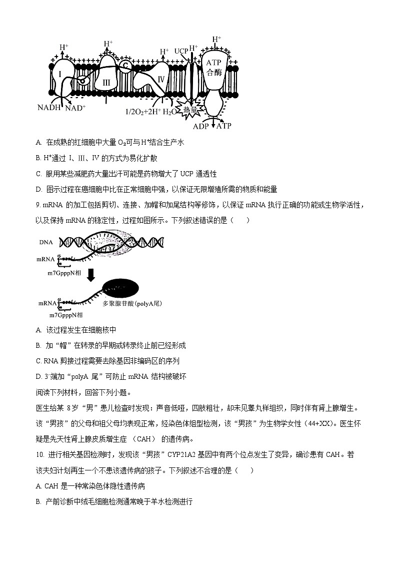 浙江省七彩阳光新高考研究联盟2024-2025学年高三上学期8月开学考试生物试题(Word版附解析)03
