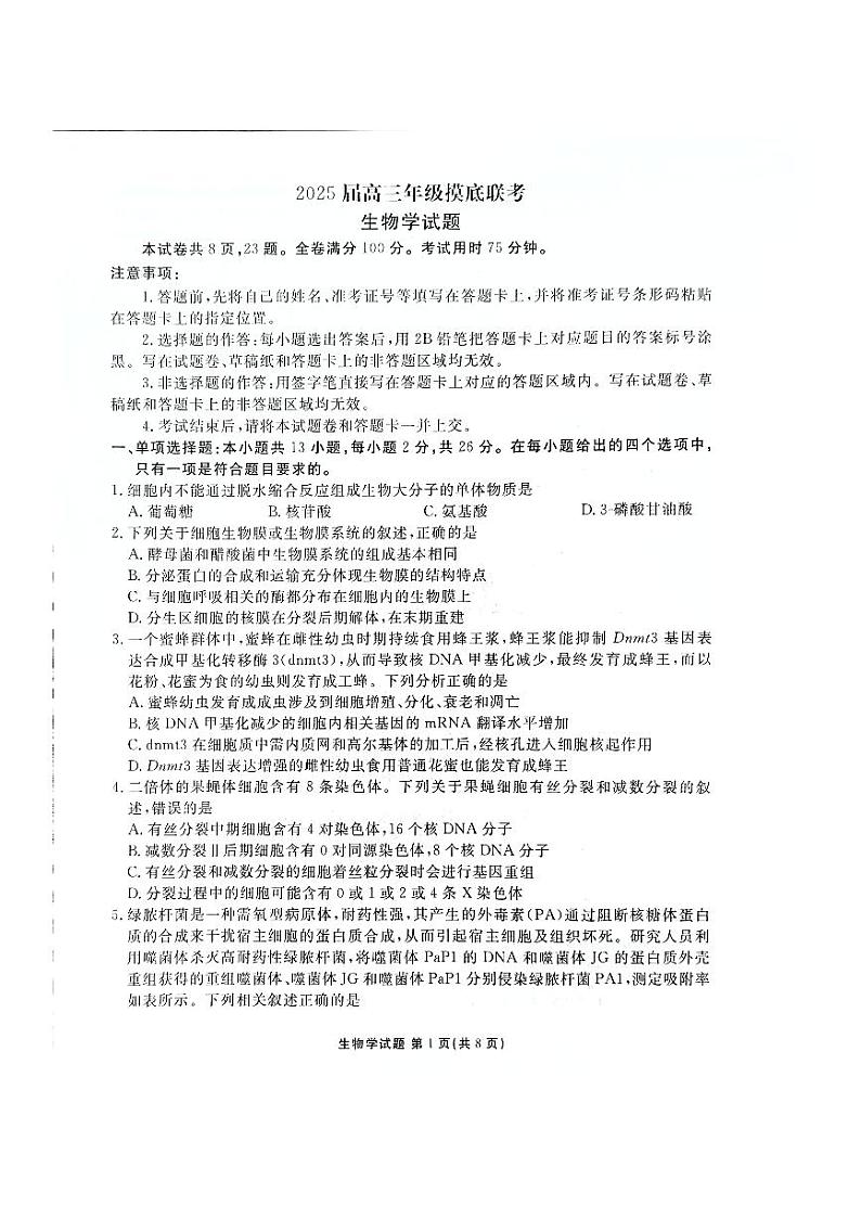 河北省承德第一中学等校2024-2025学年高三上学期摸底联考生物试题第1页