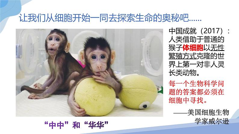 1.1 细胞是生命活动的基本单位 课件(人教版2019必修1)01