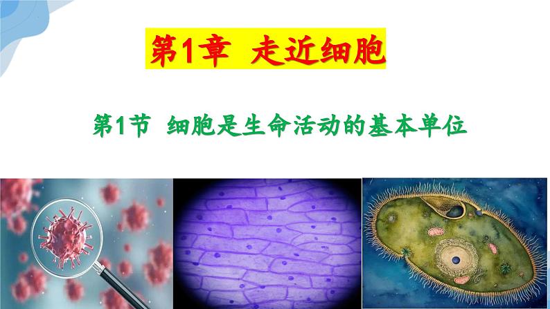1.1 细胞是生命活动的基本单位 课件(人教版2019必修1)02