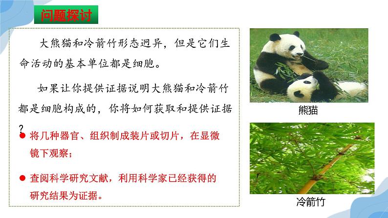 1.1 细胞是生命活动的基本单位 课件(人教版2019必修1)04