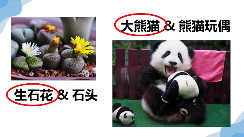 2.1 细胞中的元素和化合物 课件(人教版2019必修1)第1页
