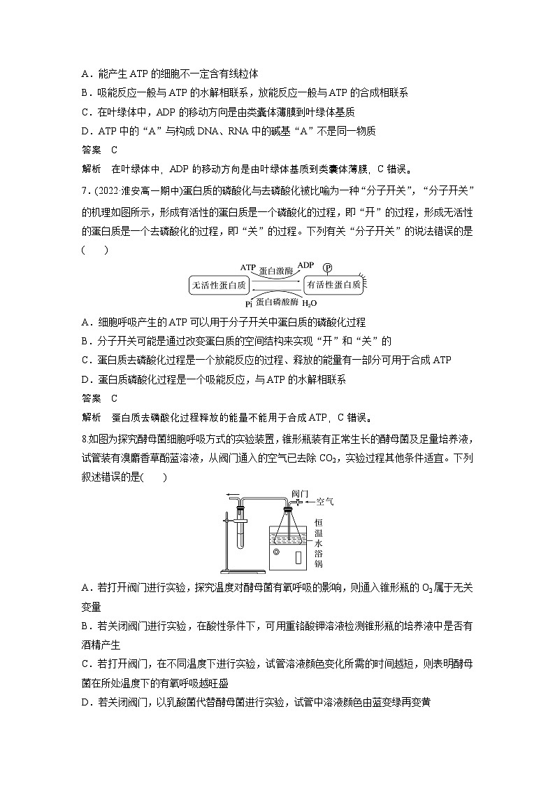 2024高中生物必修第一册(人教版2019)同步讲义章末检测试卷(第5章)(Word版附解析)第3页