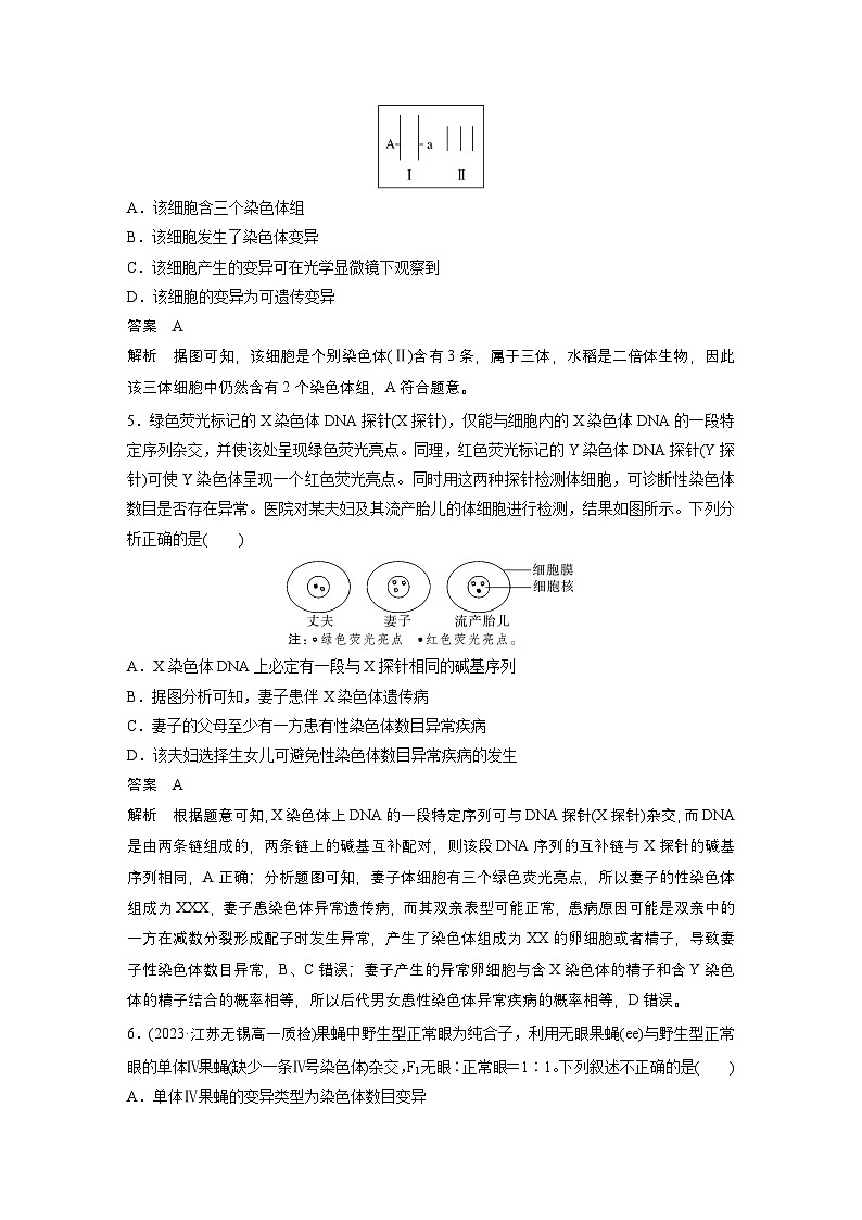 2024高中生物必修第二册(人教版2019)同步讲义第5章重点突破练(五)(Word版附解析)02