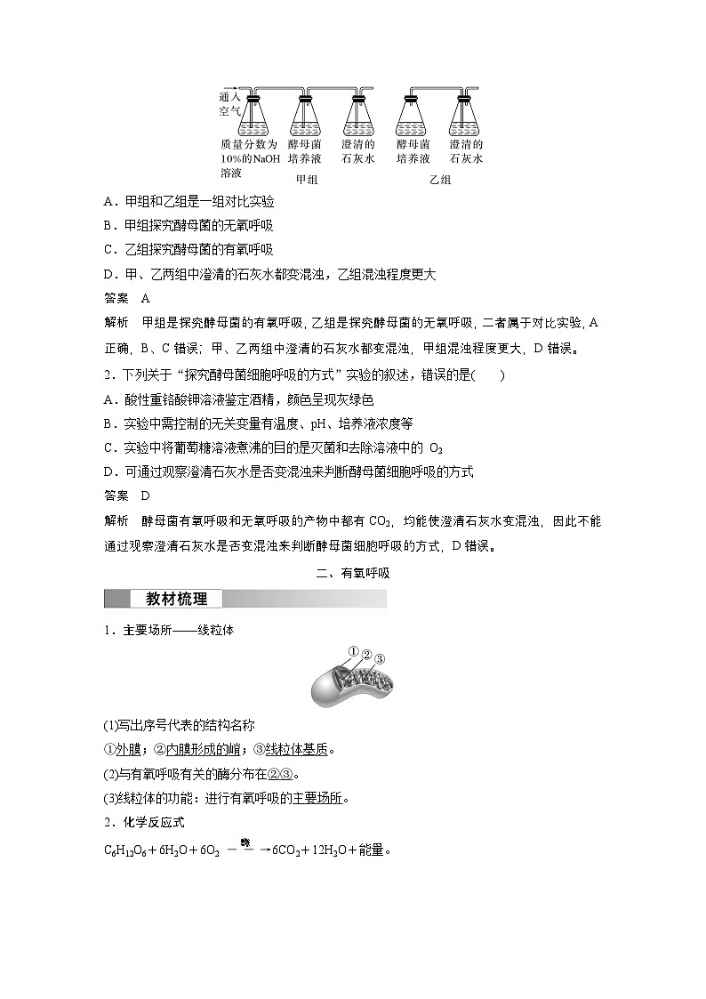 2024高中生物必修第一册(人教版2019)同步讲义第5章第3节第1课时细胞呼吸的方式和有氧呼吸(Word版附解析)03